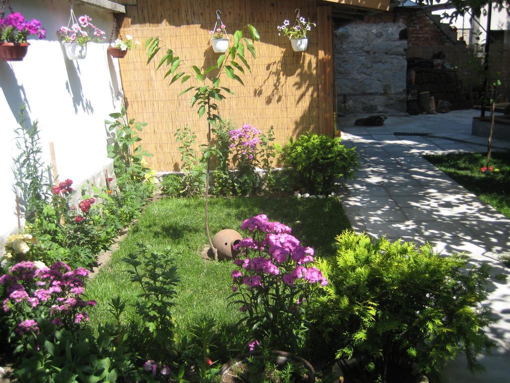 Aseva House Guest House Bansko Exterior photo