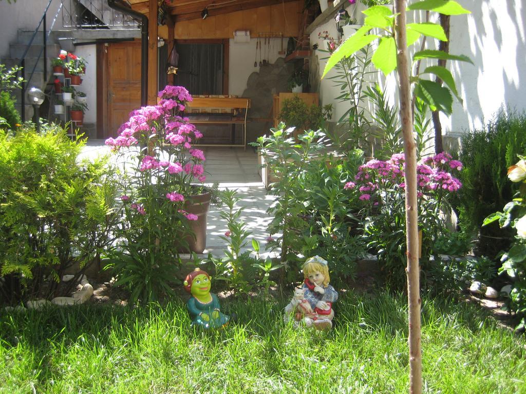 Aseva House Guest House Bansko Exterior photo