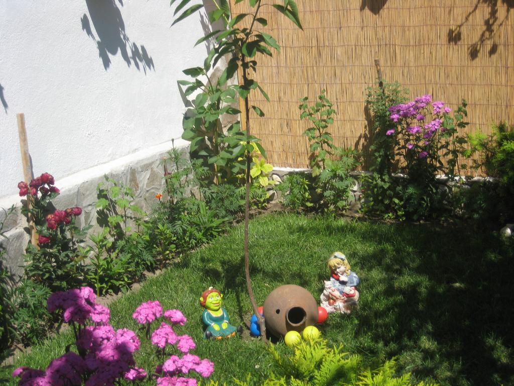 Aseva House Guest House Bansko Exterior photo