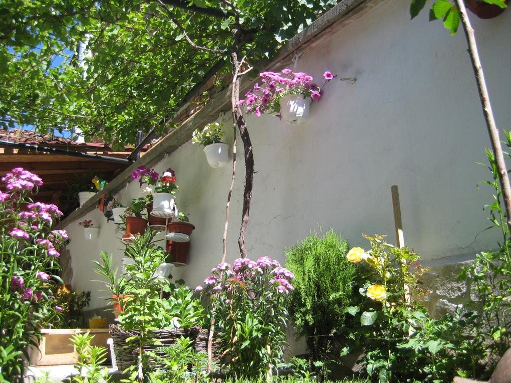 Aseva House Guest House Bansko Exterior photo