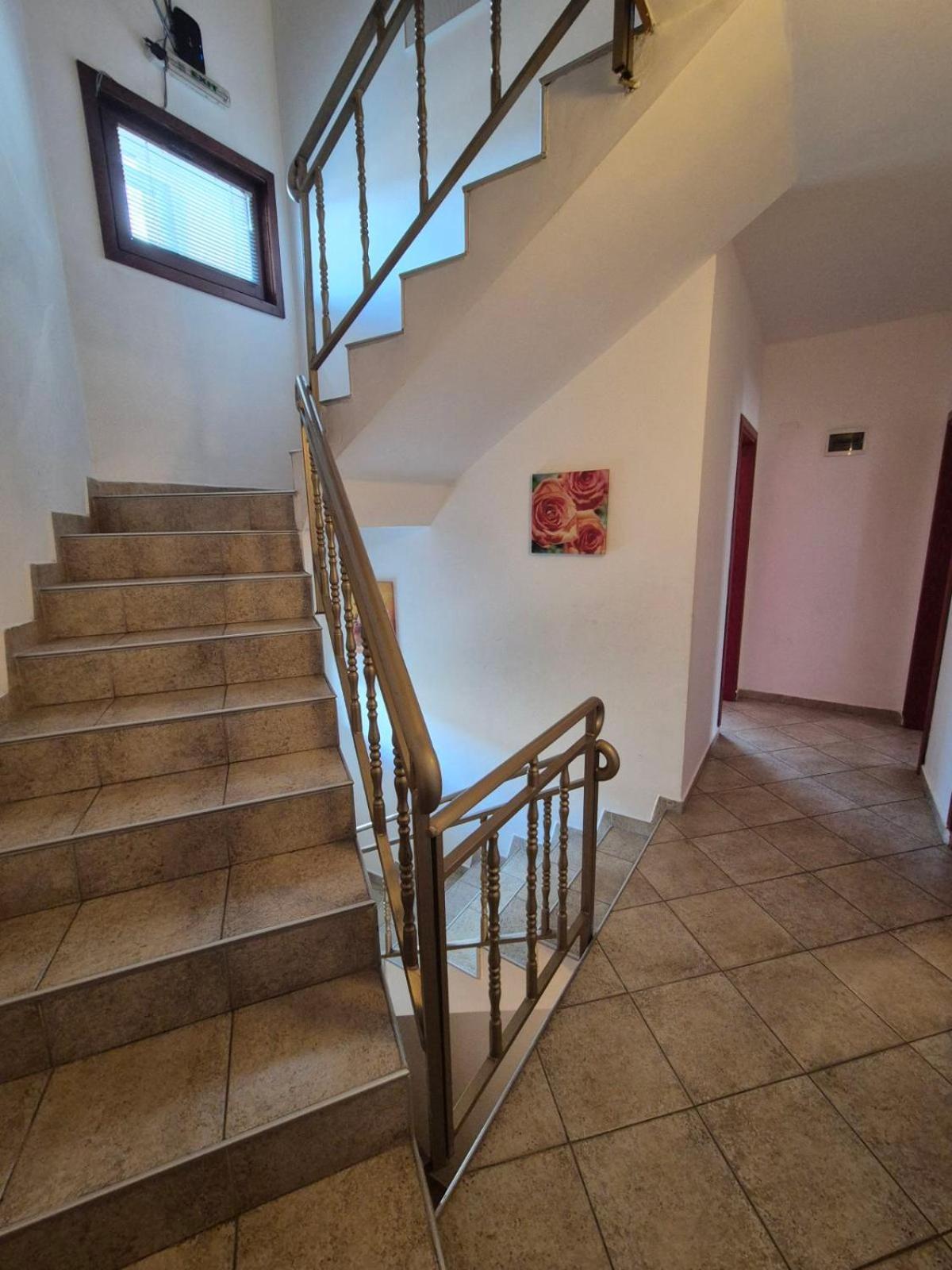 Aseva House Guest House Bansko Exterior photo